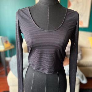 Forever 21 Mesh Striped Long Sleeve Crop Top (Medium)